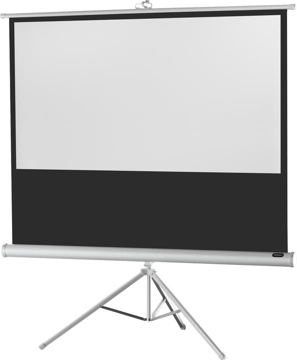 Celexon Economy tripod screen - Projection screen with tripod - 280 cm (110") (96.06", 16:9)