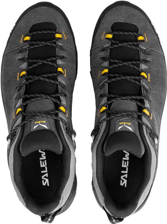 Image du produit Salewa Alp Trainer 2 GTX (40)