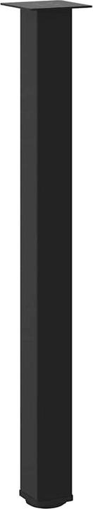 Image du produit vidaXL Bartischbein