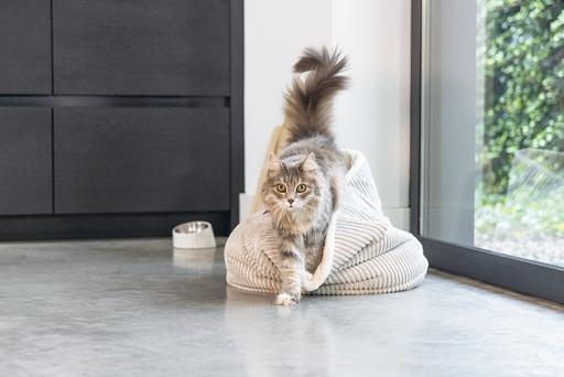 Produktbild Designed by Lotte Katzen Korb Ribbed (Katze)