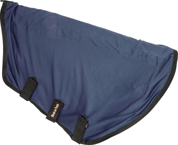 Image du produit Back on Track Royal Deluxe (140 cm)