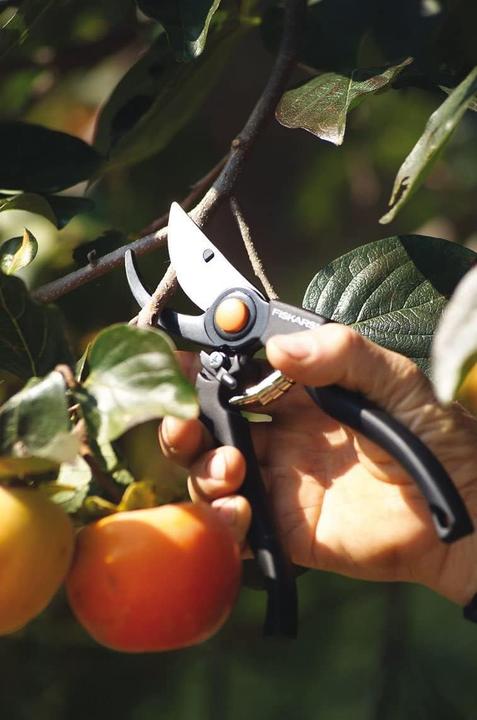 Produktbild Fiskars Gartenschere Bypass Pro 111960