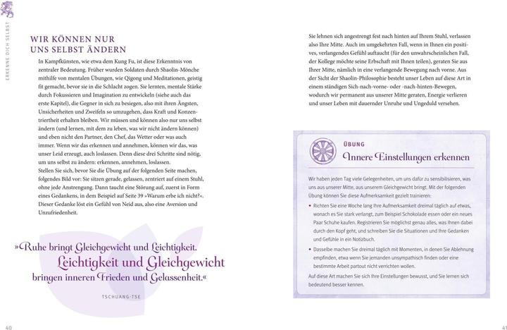 Actual product image Shaolin - Das Geheimnis der inneren Stärke (German, Dr. Thomas Sppäth, Shi Yan Bao, 2017)