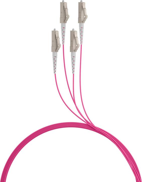 Produktbild EFB Elektronik Trunkkabel U-DQ ZN BH OM4 4G 1x4 LC-LC 70m Dca LSZH (70 m)