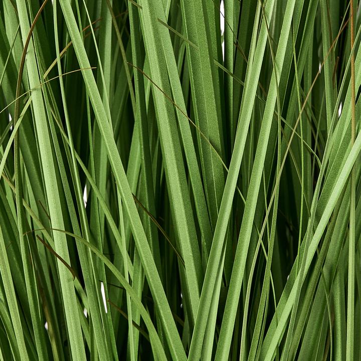 Image du produit Beliani Grass (120 cm)