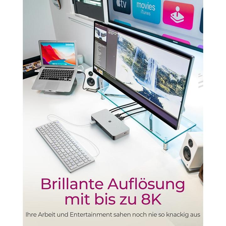 Productafbeelding Icy Box IB-DK2880-C41 (USB-C, 11 Havens)