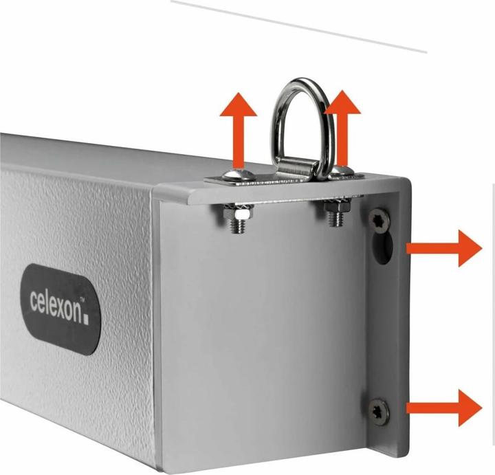 Actual product image Celexon Professional Plus (108", 4:3)