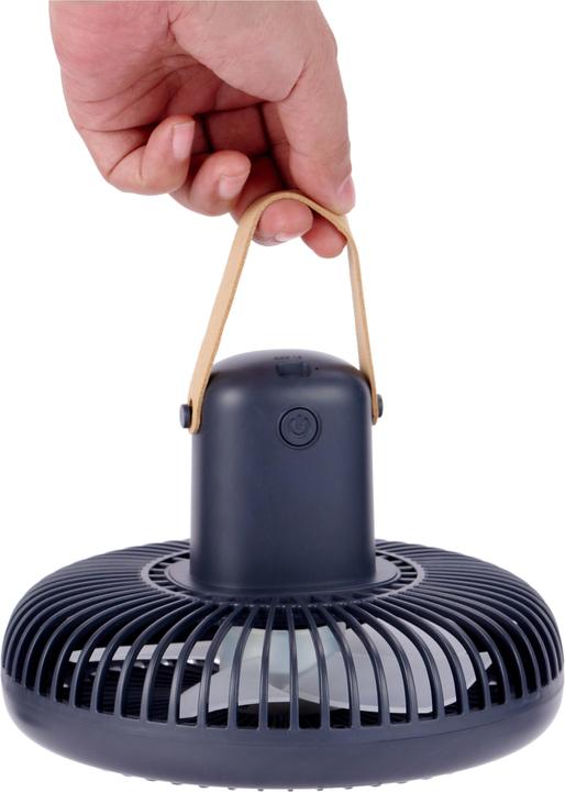 Image du produit Gingko Fan de Beyond Desk