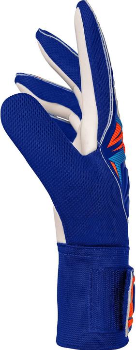 Actual product image Reusch Attrakt Starter Solid (10)