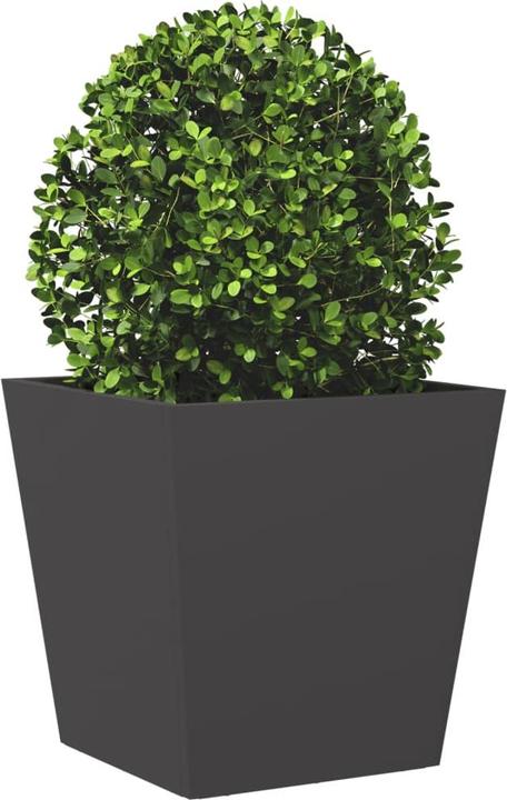 Produktbild vidaXL Pflanzkübel