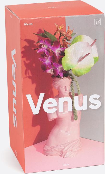 Image du produit Doiy Venus Rosé - Vase