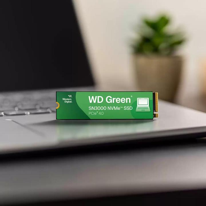 Actual product image WD Green SN3000 powered by SANDISK (500 GB, M.2 2280)