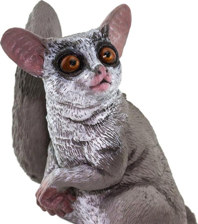 Image du produit Safari Galago