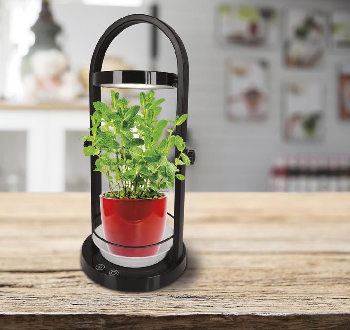 Actual product image Näve LED plant light