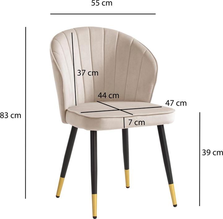 Produktbild FineBuy Esszimmerstuhl Küchenstuhl 2er Set Samt Stuhl Skandinavisch Schalenstuhl