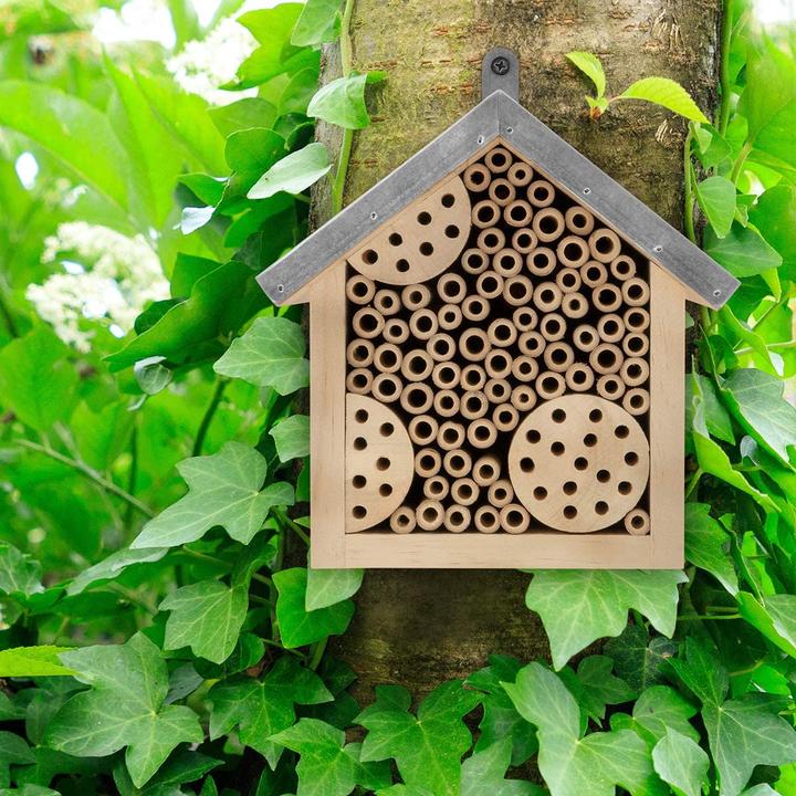 Immagine prodotto Wildlife Friend Bienenhotel (Api, Coccinelle)