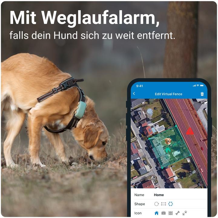 Actual product image Tractive DOG XL GPS Tracker for Dogs (Dog, General)