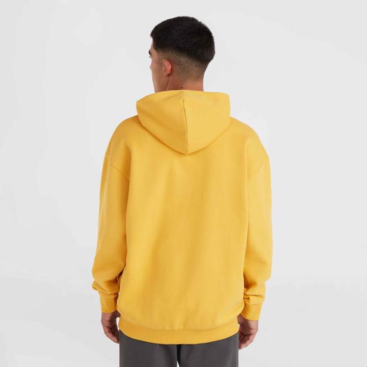 Produktbild O'Neill Future Surf Society Hoodie (M)