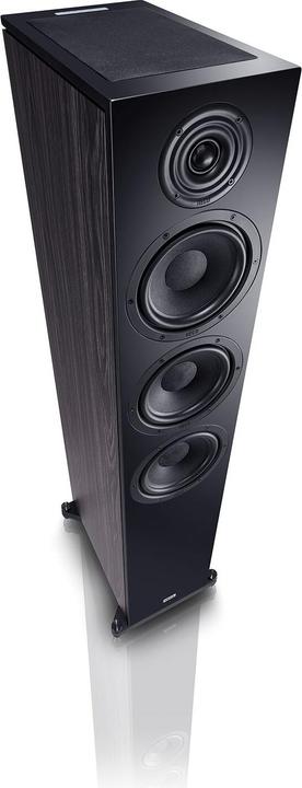 Image du produit Heco Audio Aurora 900 AM *noir* (1 paire, 300 W)