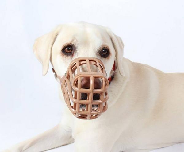 Immagine prodotto Company of Animals Muso classico Baskerville (10, Cane)