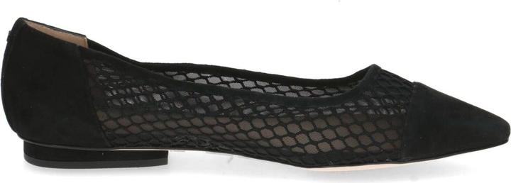 Produktbild Peter Kaiser Ballerinas (41)