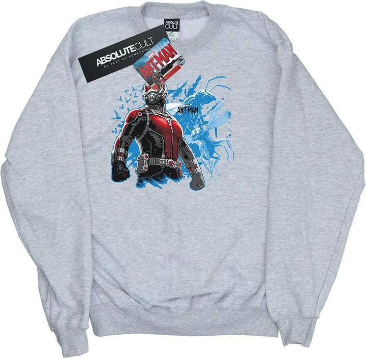 Jungen AntMan Stehendes Sweatshirt (116)