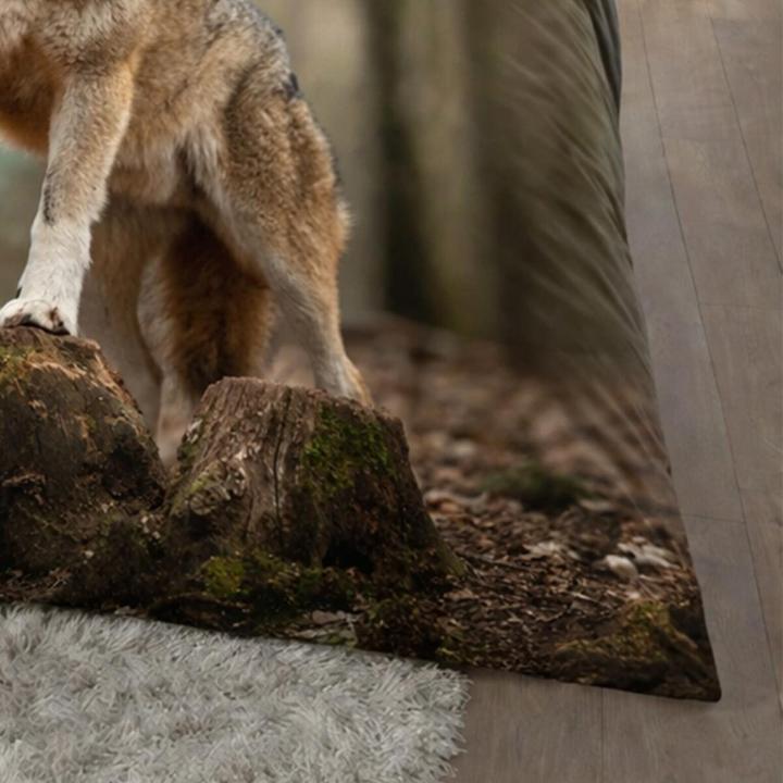 Actual product image Traumschlaf Wolf (135x200 cm, 80x80 cm)