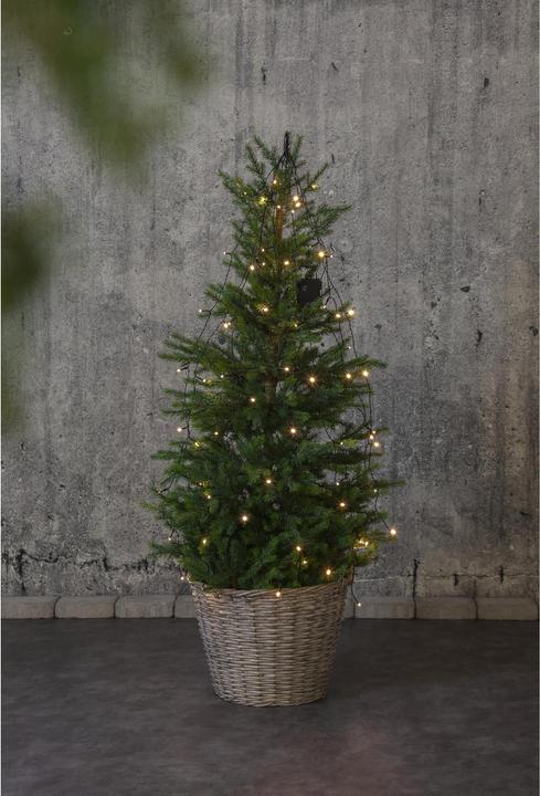 Produktbild Star Trading Lichterkette (2.70 m)