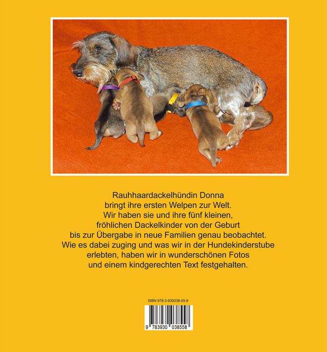 Actual product image Dackel leben auf kurzen Beinen (German, Andreas Fisher-Nagel, 2016)