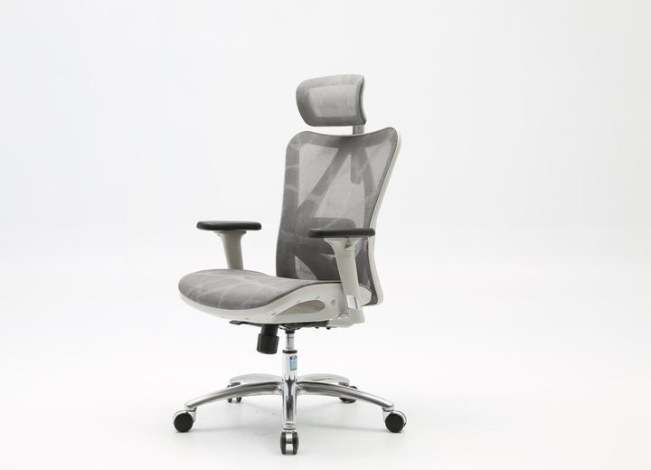 Sihoo M57 Ergonomic Office Chair, Gray