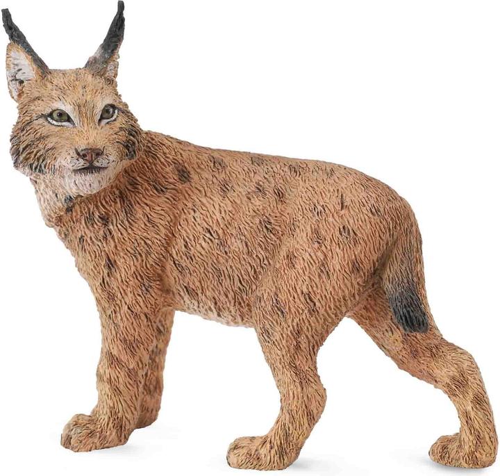 Actual product image Collecta LUCHS (L)