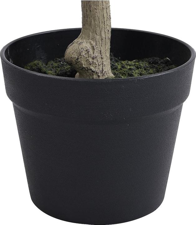 Immagine prodotto Ozaia Huesca (120 cm)