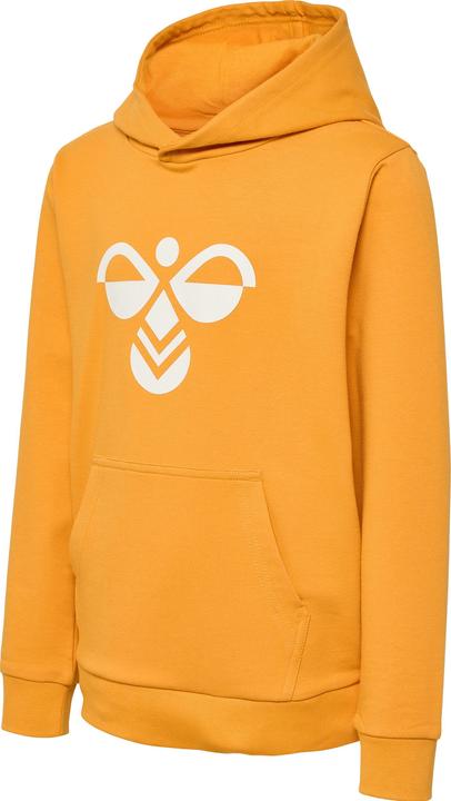 Produktbild hummel hmlCUATRO HOODIE (134)