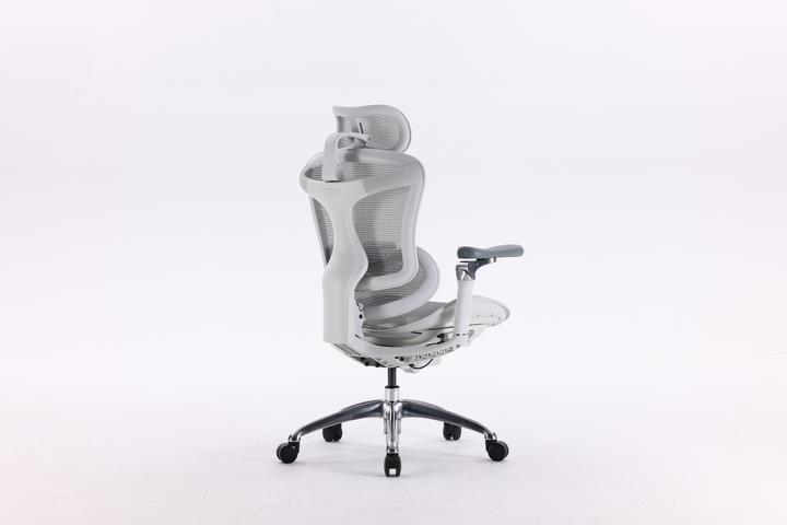 Image du produit Sihoo Doro C300