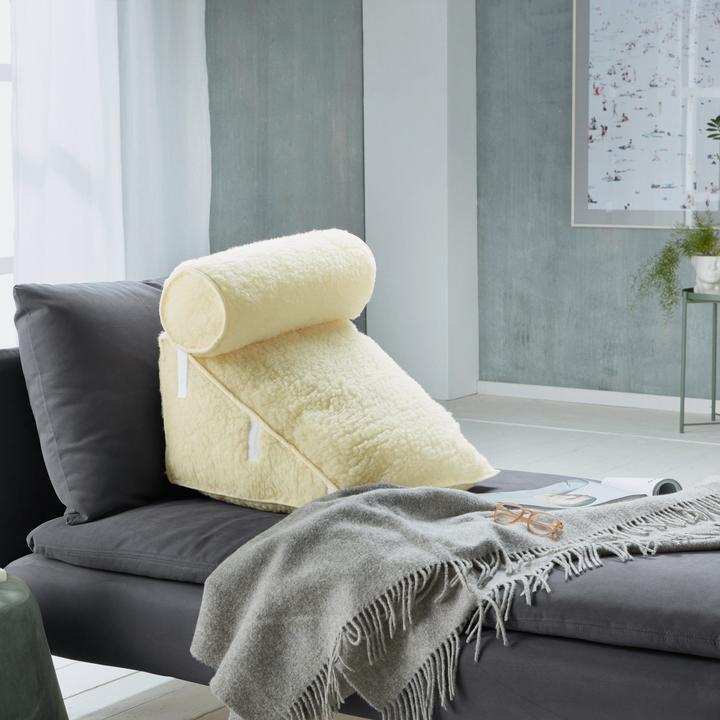 Image du produit Erwin Müller Coussin dorsal avec traversin (Litière)