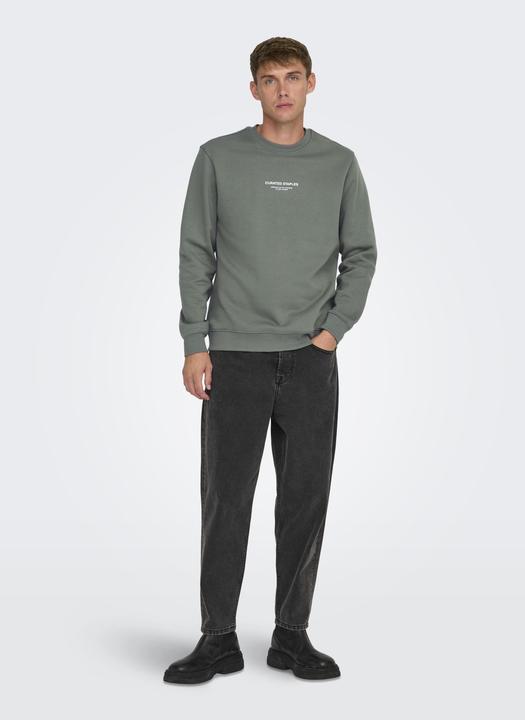 Image du produit Only & Sons Onscurated Reg Crew Neck Sweat Noos (L)