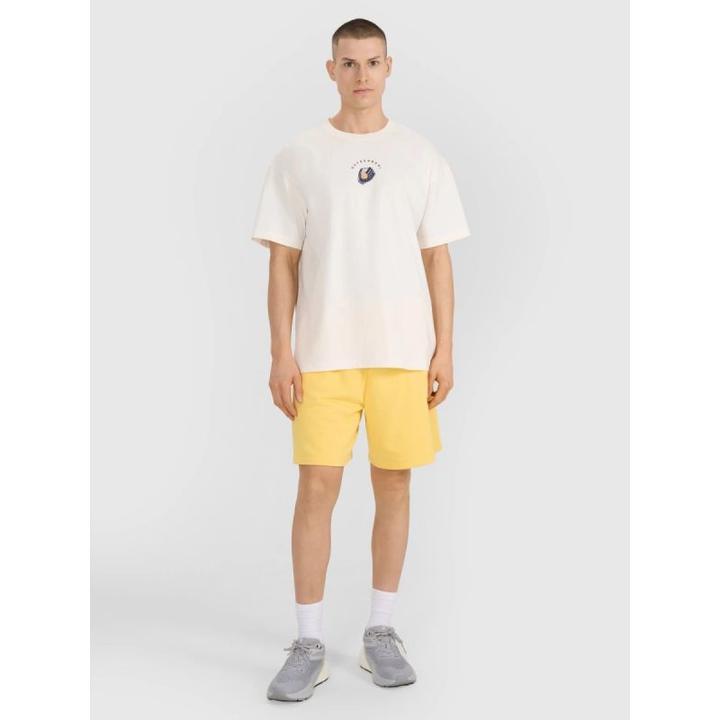 Produktbild 4F Herren-T-Shirt (XXL)