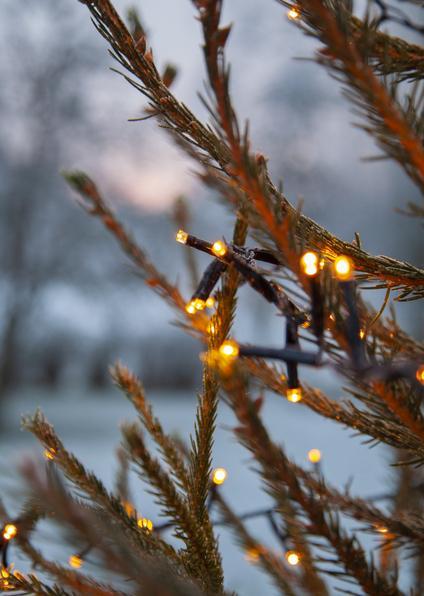 Actual product image Star Trading Garden lights (24 m)