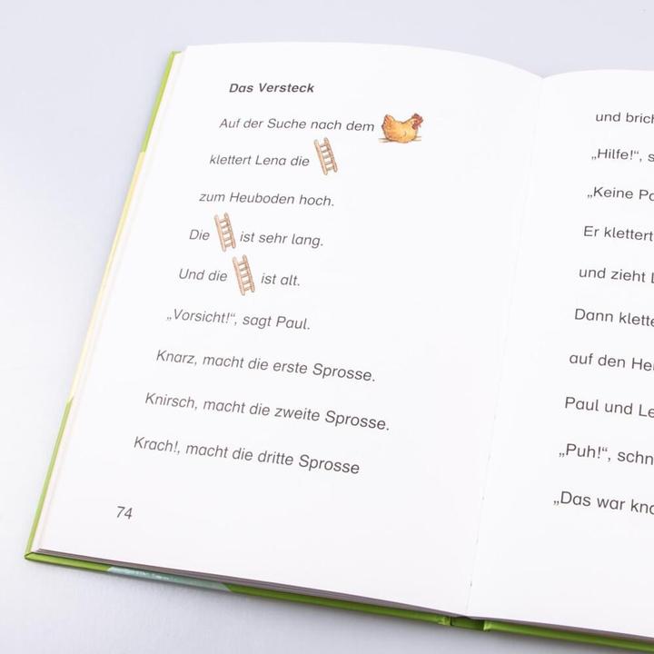 Produktbild Das grosse Buch zum Lesenlernen (Deutsch, Antje Schwenker, Gerhard Schröder, Irmtraut Teltau, Manuela Mechtel, Peter Friedl, Sigrid Leberer, Ulrike Pohlmann, 2009)