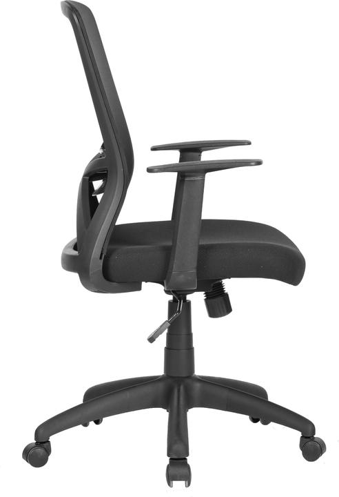 Produktbild ByLiving Long (43 - 51 cm)