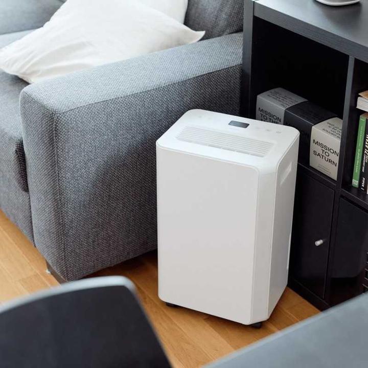 Immagine prodotto ecofort ecoQ 20L Essential (50 m², 20 l/24h)