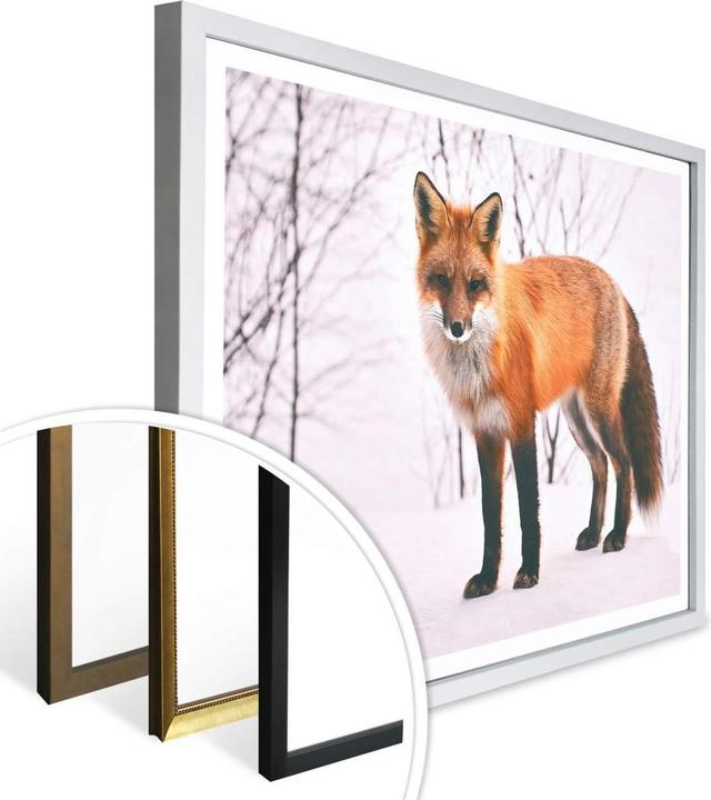 Immagine prodotto Trenddeko Volpe nella neve - 2 pezzi (30 x 24 cm)