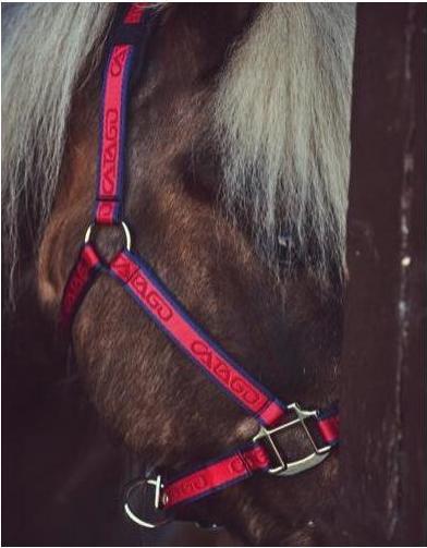 Immagine prodotto Catago Cavezza per cavalli