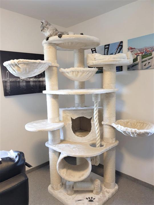 Produktbild Pet Homes Mallorca (192 cm, Crème)