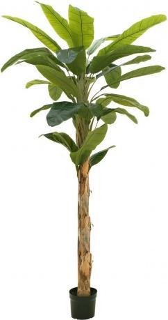 Produktbild Europalms Bananenbaum (210 cm)