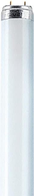 Actual product image Osram Tube (G13, 2400 lm, 1 x)