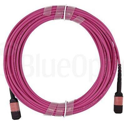 CBO LWL MPO Trunkkabel OM4 12 Kerne 10 Meter Typ B, Transceiver, Pink