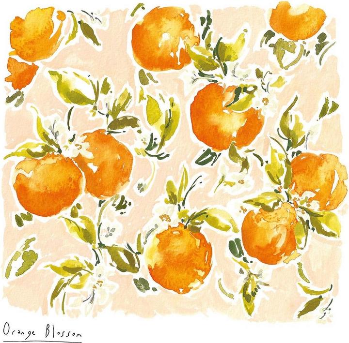 Image du produit Rose Jocham - Imprimé (40 x 40 cm)