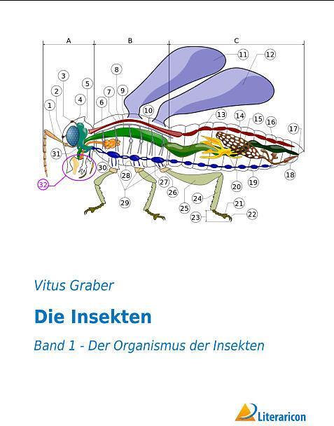 Produktbild Die Insekten (Deutsch, Vitus Graber, 2015)