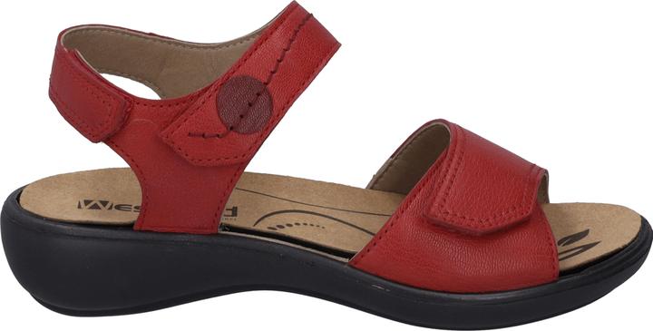 Actual product image Westland 16779-201 (39)